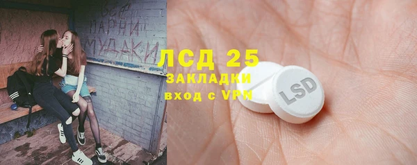мет Новозыбков