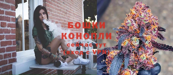 мет Новозыбков
