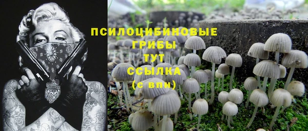 а пвп мука Новодвинск