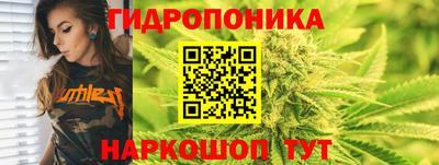 прущие грибы Конаково