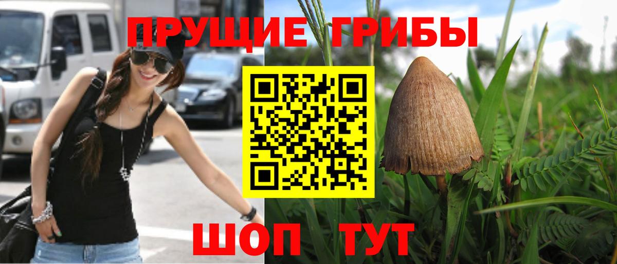 Татарск  Галлюциногенные грибы MAGIC MUSHROOMS  цены   Вход с VPN 
